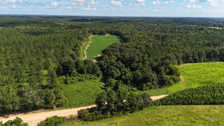 00 Wallace Buie Rd, Webb, AL 36376 - #2