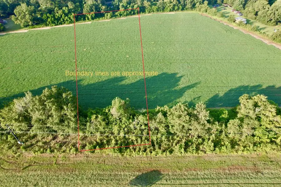 0 Highway 84, Daleville, AL 36322 - #2