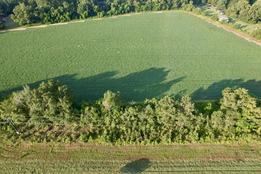 0 Highway 84, Daleville, AL 36322 - #3