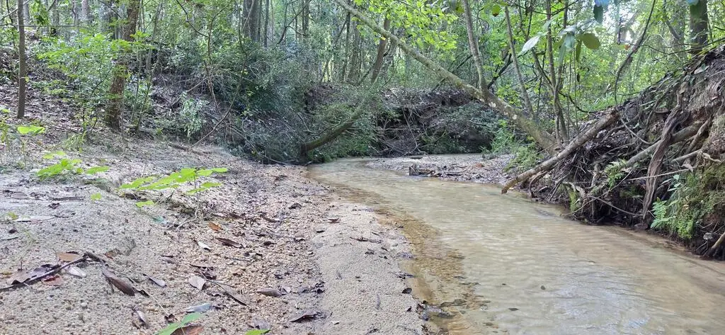 8 Acres +/- Hwy 123, Newton, AL 36352 - #1