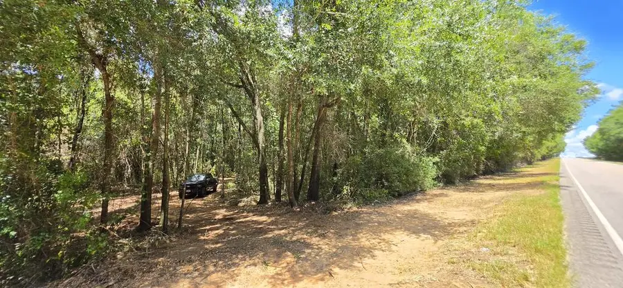 8 Acres +/- Hwy 123, Newton, AL 36352 - #2