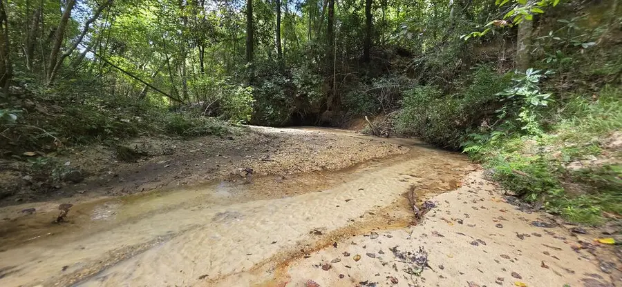 8 Acres +/- Hwy 123, Newton, AL 36352 - #3
