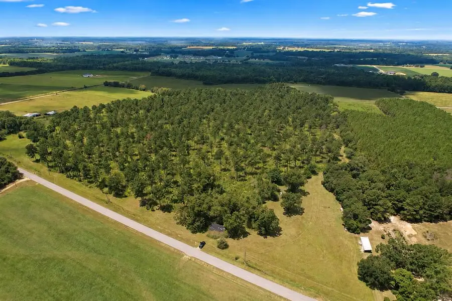0 County Road 33, Ashford, AL 36312 - #2
