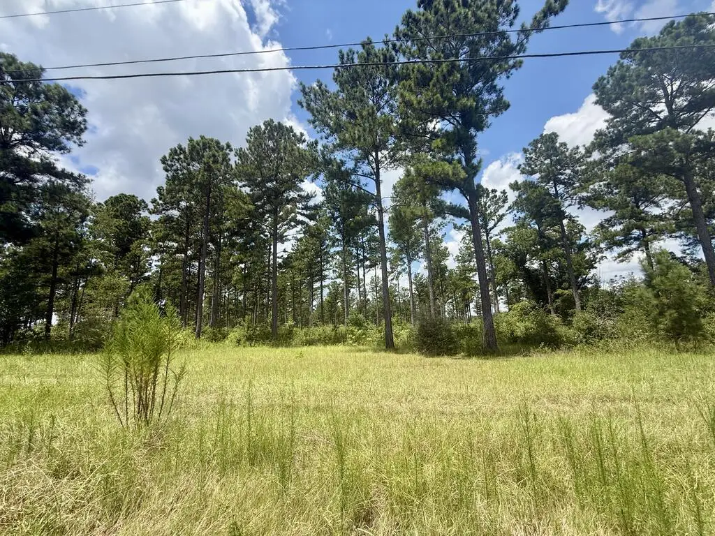 0 County Road 33, Ashford, AL 36312 - #1