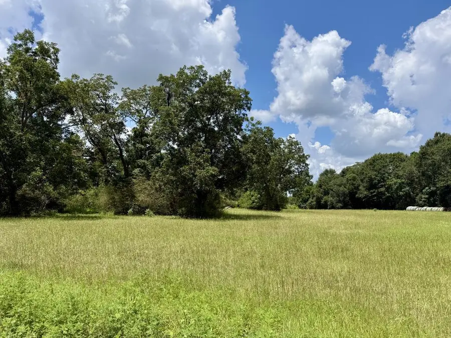0 County Road 33, Ashford, AL 36312 - #2