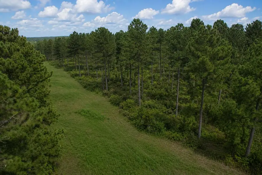 0 County Road 33, Ashford, AL 36312 - #3
