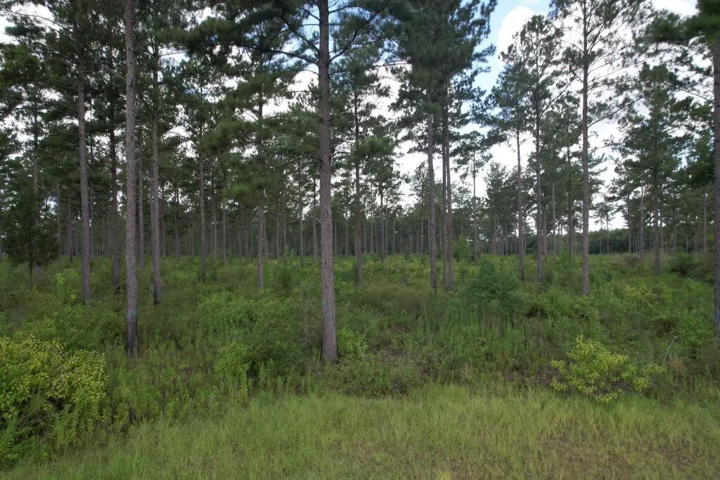 0 County Road 33, Ashford, AL 36312 - #1