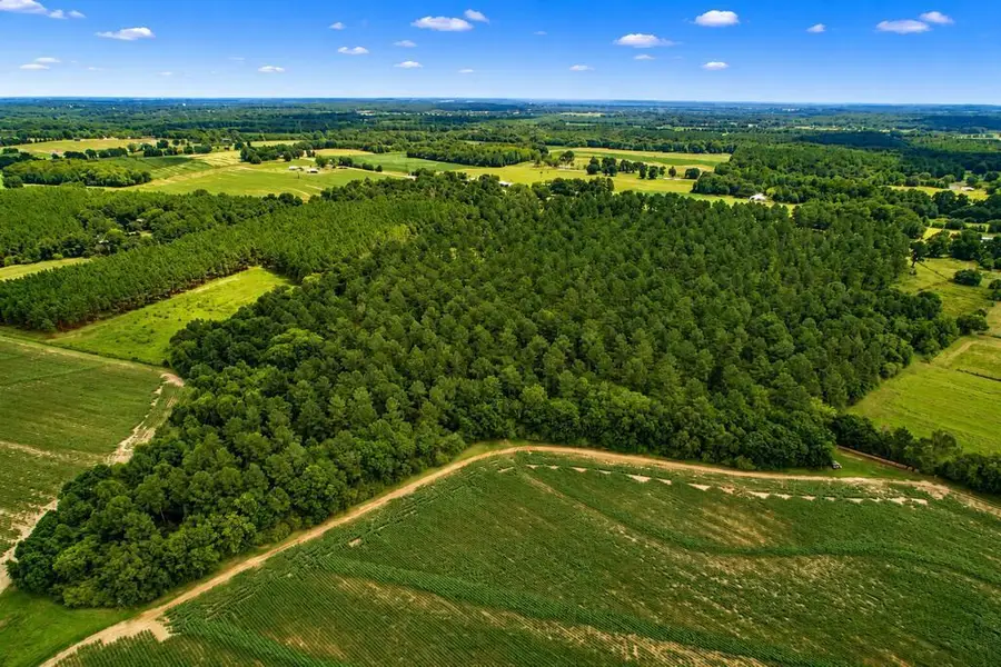 0 County Road 33, Ashford, AL 36312 - #2