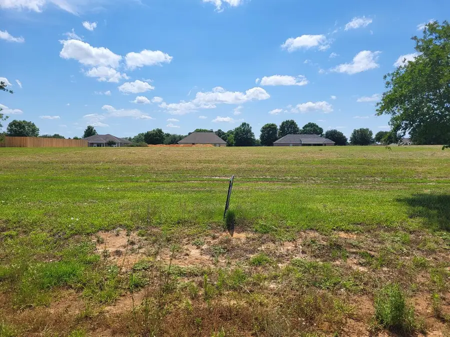 0-Lot 10 County Road 49, Headland, AL 36345 - #2