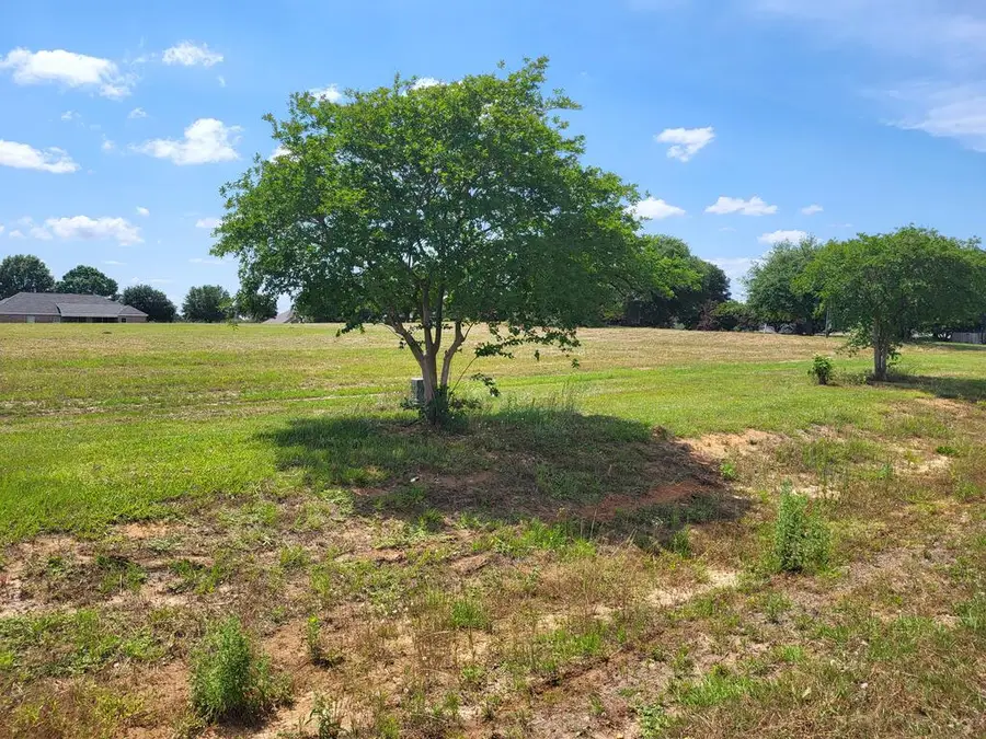0-Lot 10 County Road 49, Headland, AL 36345 - #3