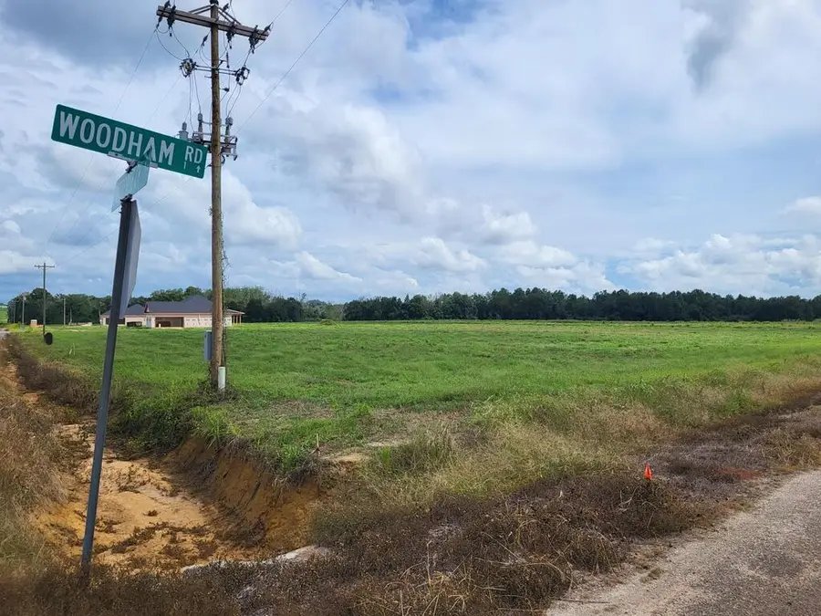 0-Lot 2 Enterprise Church Road, Ashford, AL 36312 - #2