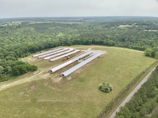 2065 County Road 6, Black, AL 36344