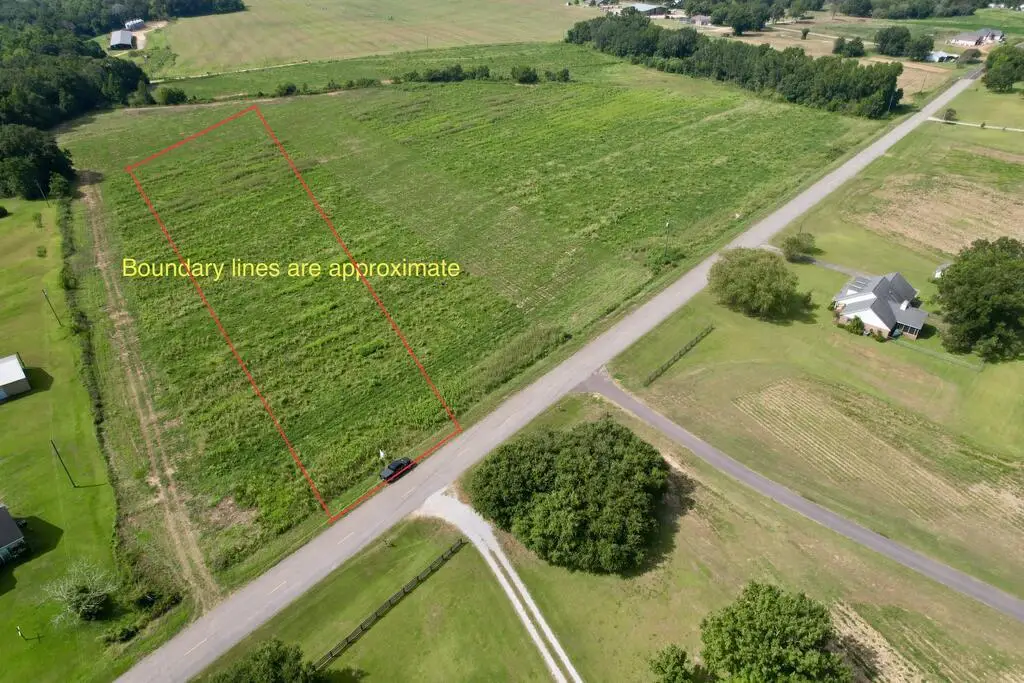 0 Judge Logue Road, Newton, AL 36352 - #1