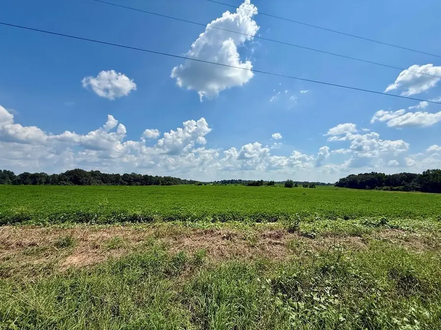 0 Judge Logue Road, Newton, AL 36352 - #2