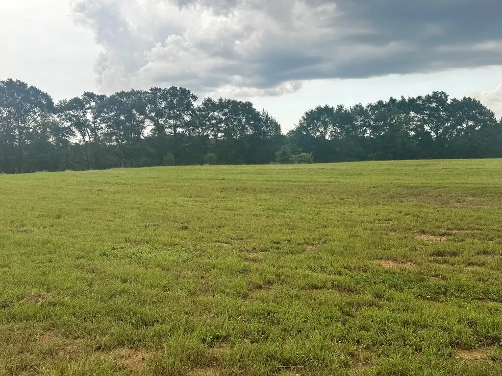 0 Highway 134, Headland, AL 36345 - #1
