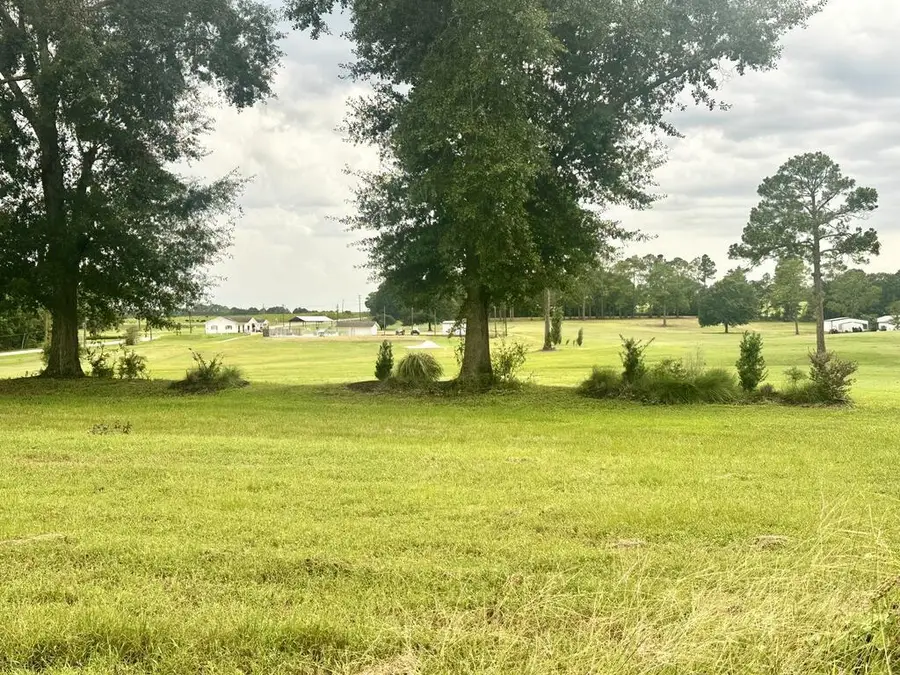 0 Highway 134, Headland, AL 36345 - #2