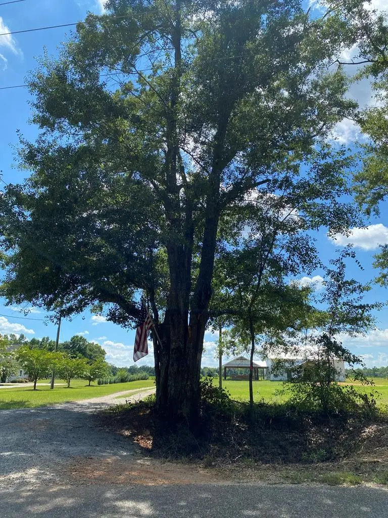 16+/-ac National Rd (16+-ac), Dothan, AL 36301 - #1