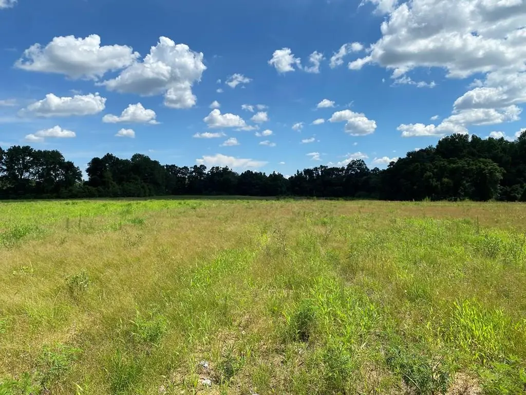 25.5+/-ac National Rd (25.5+-ac), Dothan, AL 36301 - #1