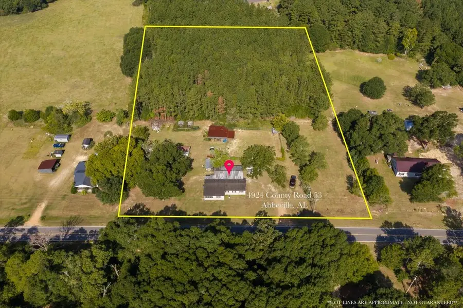 4924 County Road 53, Abbeville, AL 36310 - #2