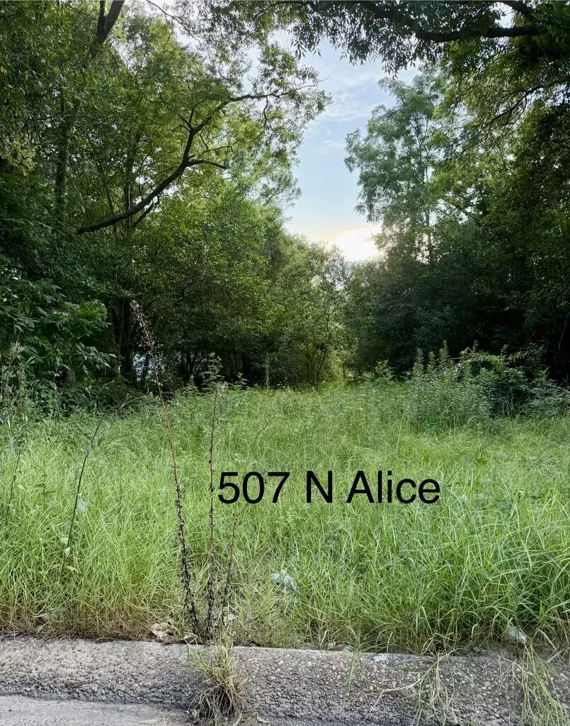 507 N Alice Street, Dothan, AL 36303 - #1