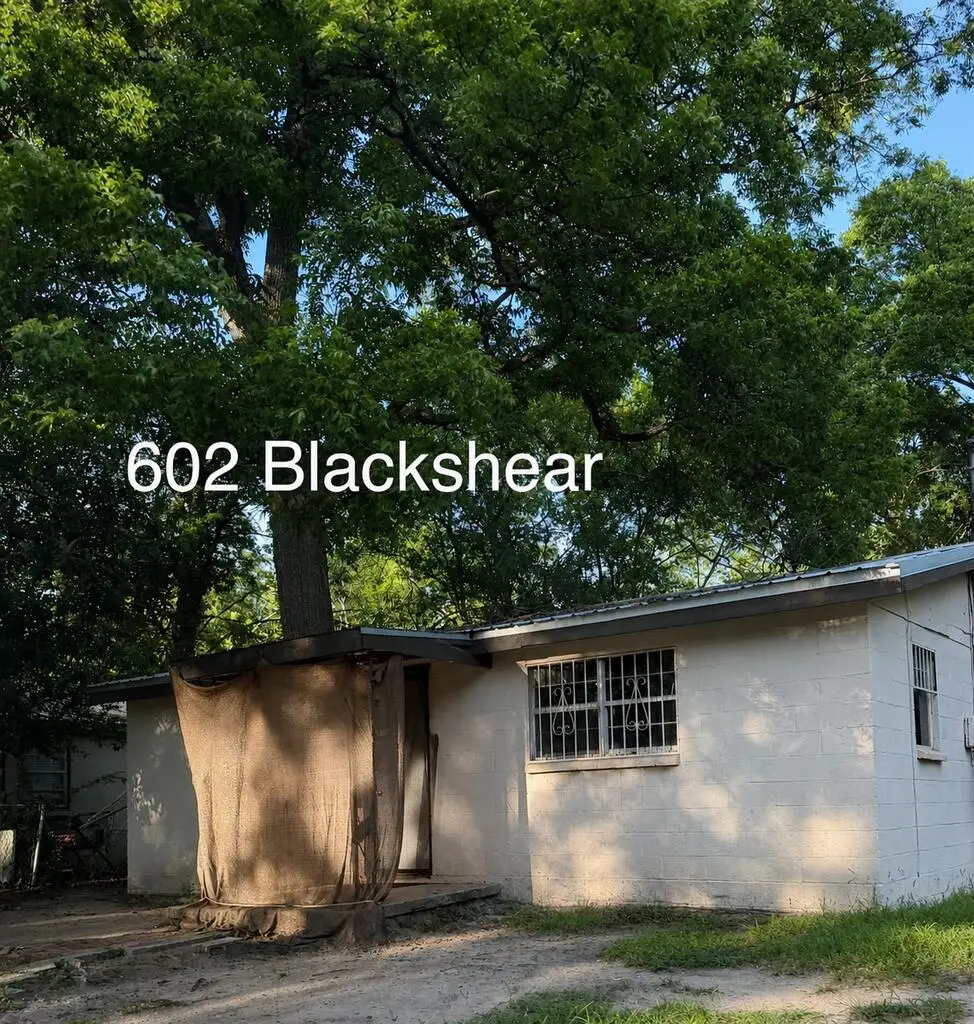 602 Blackshear Street, Dothan, AL 36303 - #1