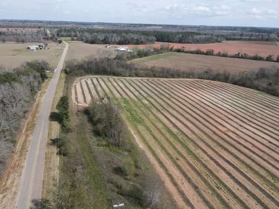 0 Lot 1 Creek Church Road, Ashford, AL 36312 - #2