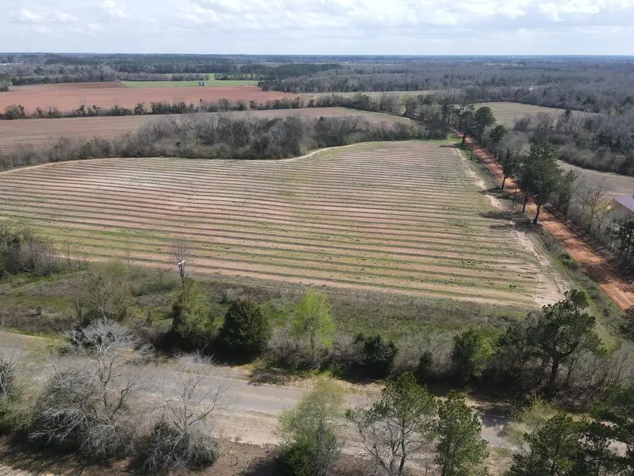 0 Lot 1 Creek Church Road, Ashford, AL 36312 - #3