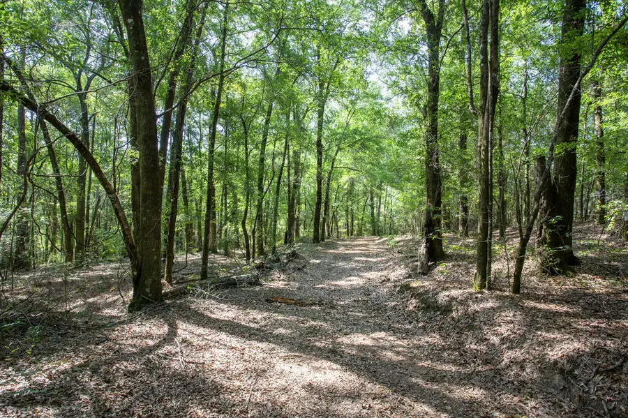 0 Cottonhill Rd, Eufaula, AL 36027 - #3