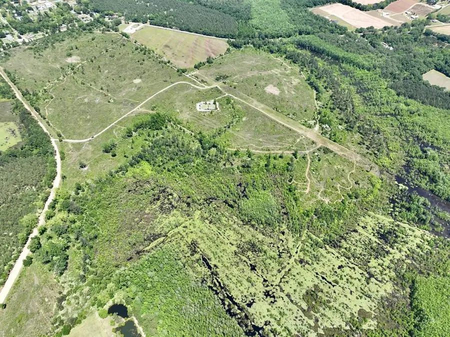 Lot 6B W Reeves Street, Malvern, AL 36375 - #2
