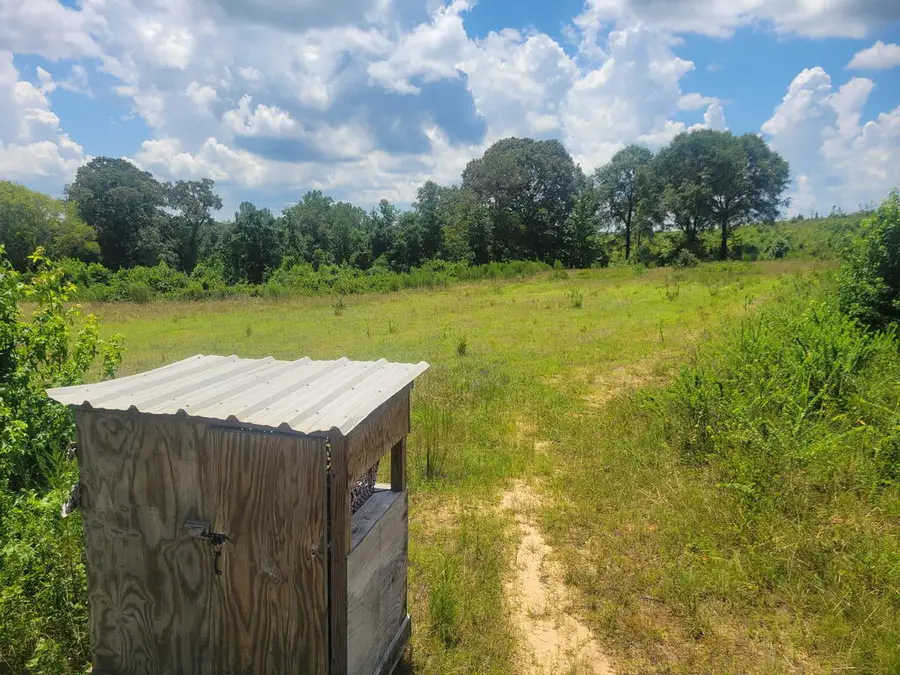 . Bethel Church Road, Fort Gaines, GA 39851 - #3