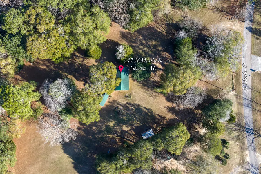 347 N Martin Street, Geneva, AL 36340 - #2