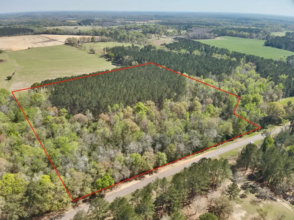 1015 Saint Mary Rd., Cottonwood, AL 36320 - #1