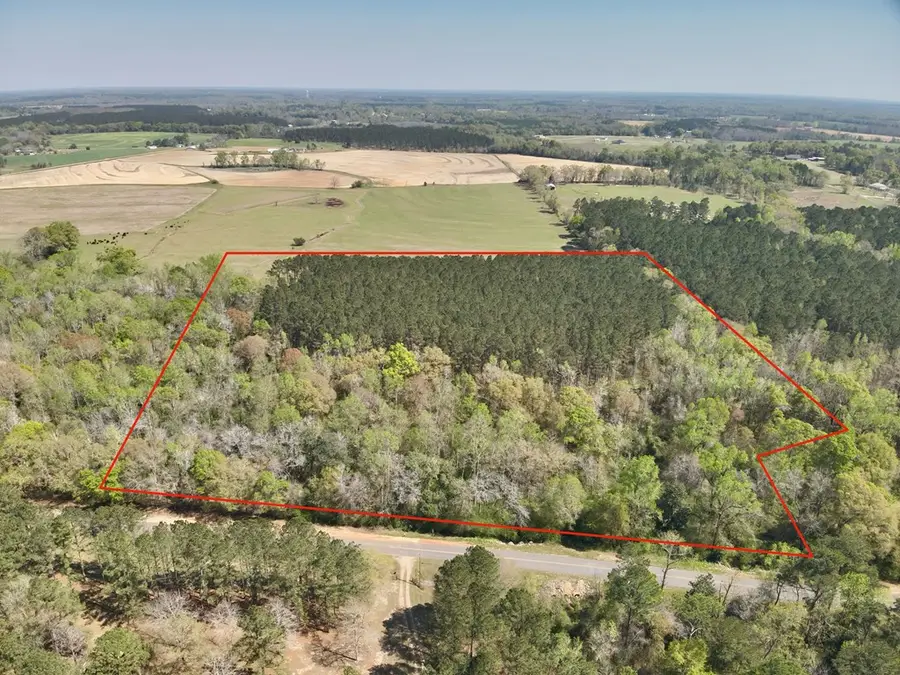 1015 Saint Mary Rd., Cottonwood, AL 36320 - #2