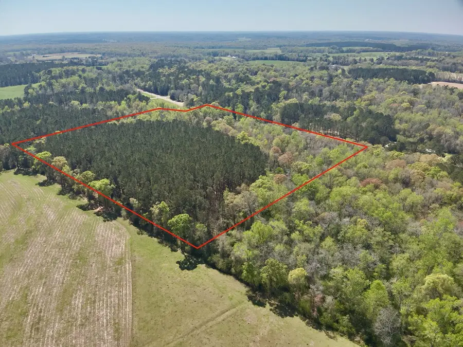 1015 Saint Mary Rd., Cottonwood, AL 36320 - #3