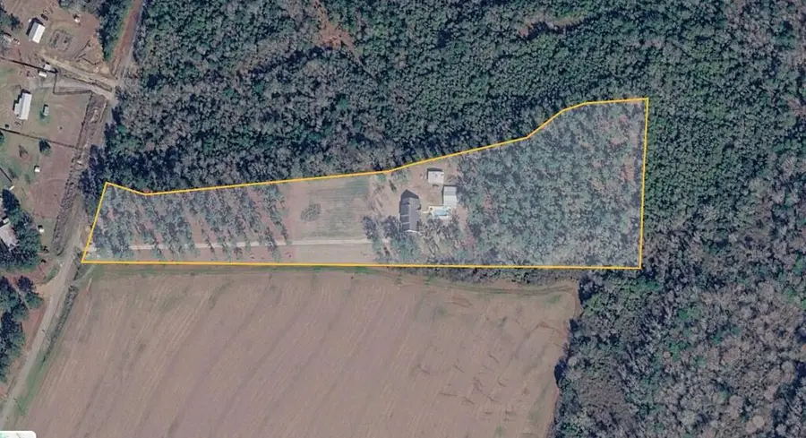 696 Benton Store Road, Columbia, AL 36319 - #2