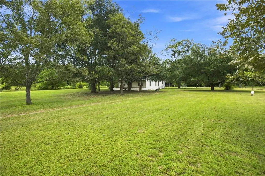 165 Hubbard Road, Newton, AL 36352 - #1