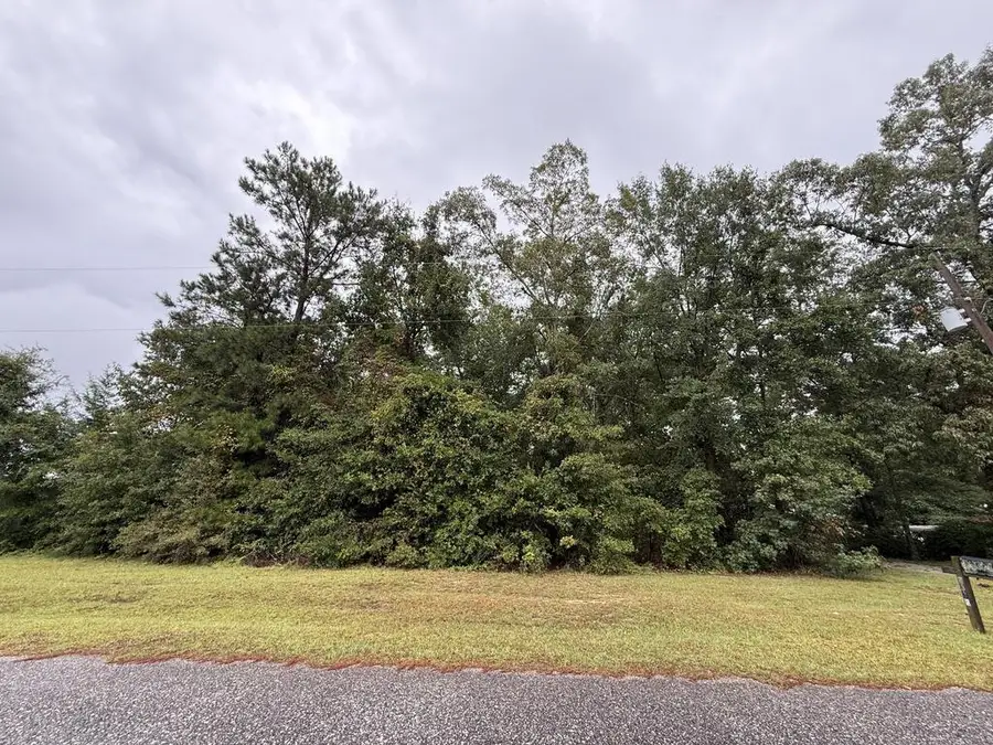 2349 Powell Trace, Abbeville, AL 36310 - #3