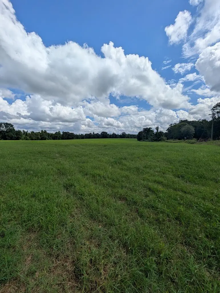 1762 County Road 19, Ariton, AL 36311 - #1