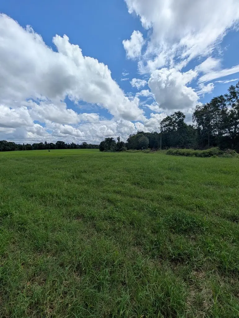 1762 County Road 19, Ariton, AL 36311 - #2