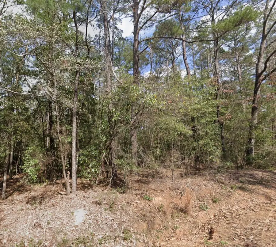 Lot 57 & 58 Arrowhead Drive, Abbeville, AL 36310 - #2