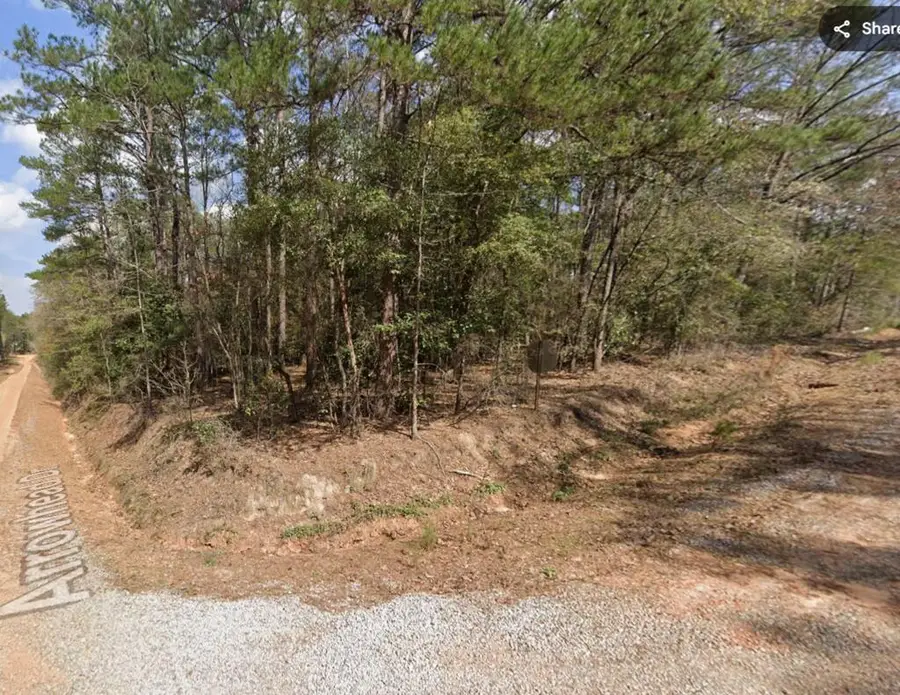 Lot 57 & 58 Arrowhead Drive, Abbeville, AL 36310 - #3