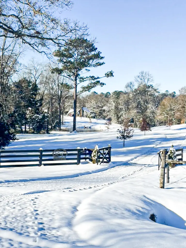 470 County Road 87, Headland, AL 36345 - #3