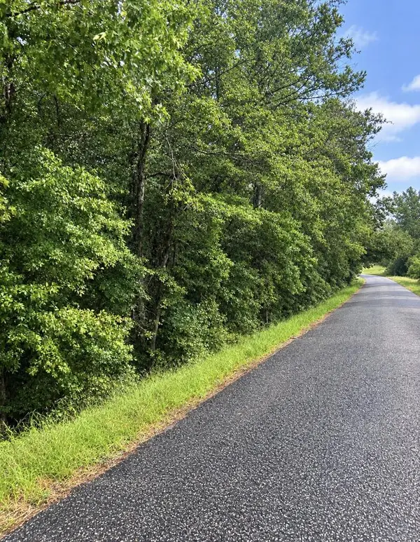 0 Kite Rd, Pittsview, AL 36871