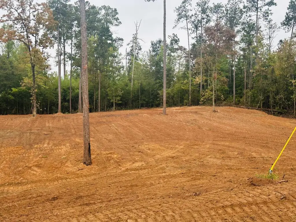 1 Woodland Dr, Abbeville, AL 36310 - #1