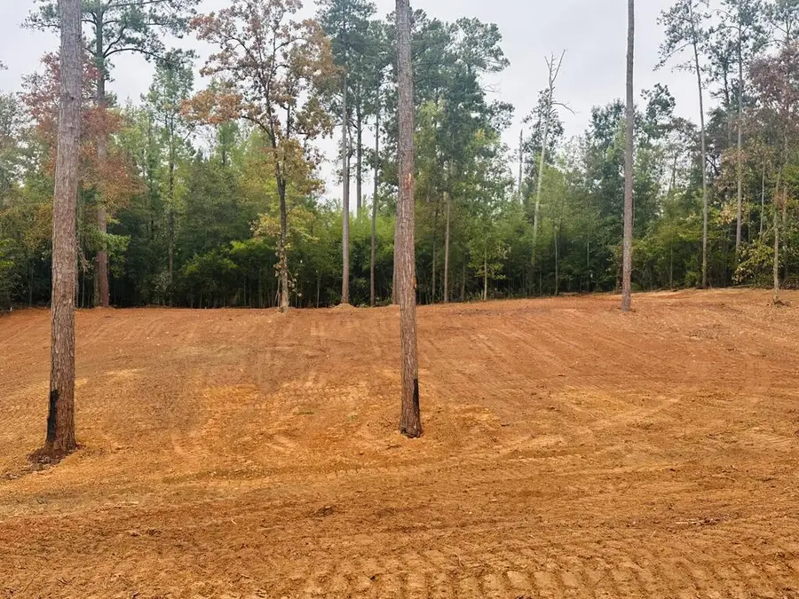 1 Woodland Dr, Abbeville, AL 36310 - #2