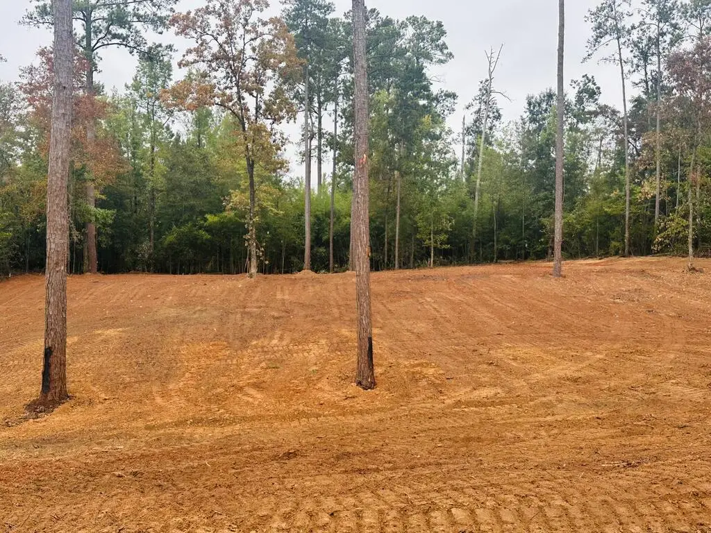 2 Woodland Dr, Abbeville, AL 36310 - #1