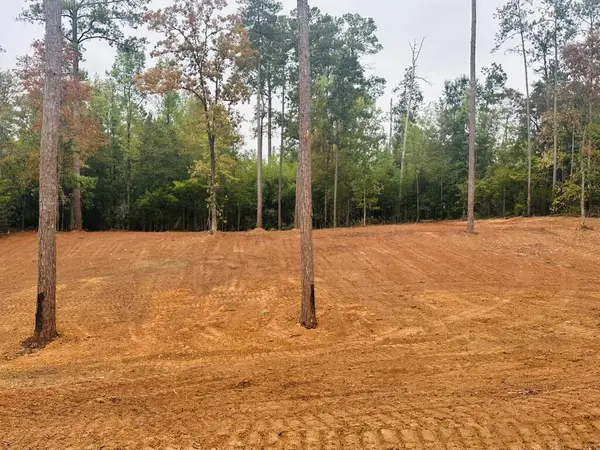 2 Woodland Dr, Abbeville, AL 36310