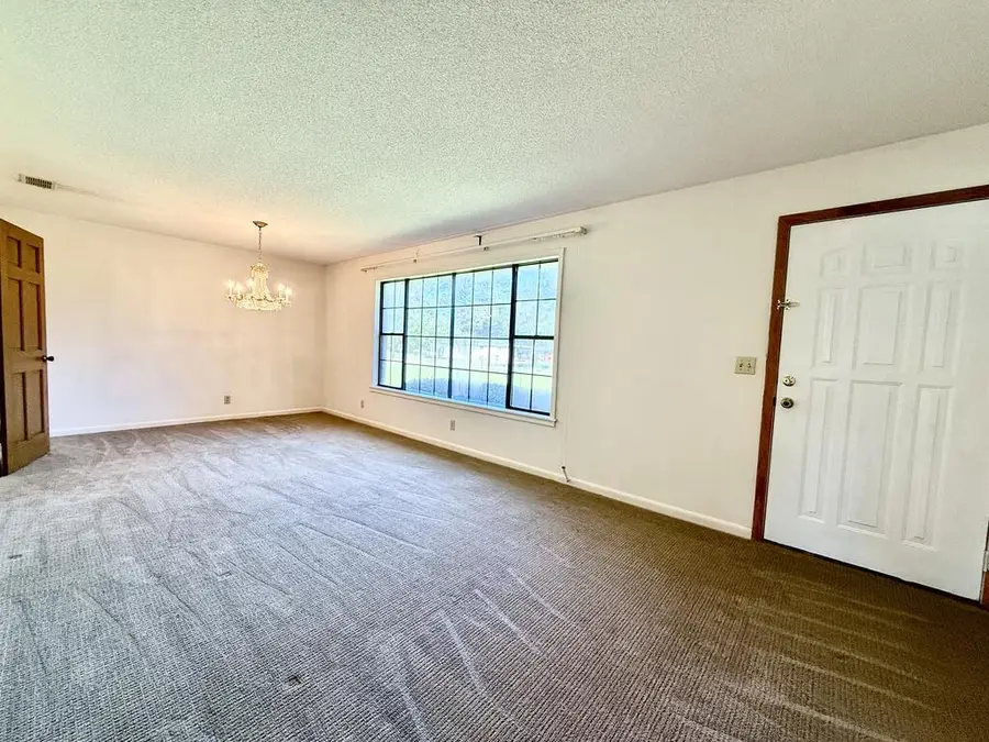 613 W Spring Ave, Geneva, AL 36340 - #3