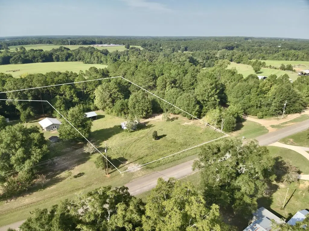 2.73 Acres County Road 40, Chancellor, AL 36316 - #1