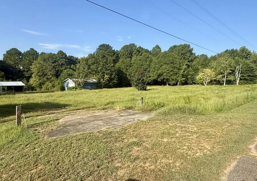 2.73 Acres County Road 40, Chancellor, AL 36316 - #2
